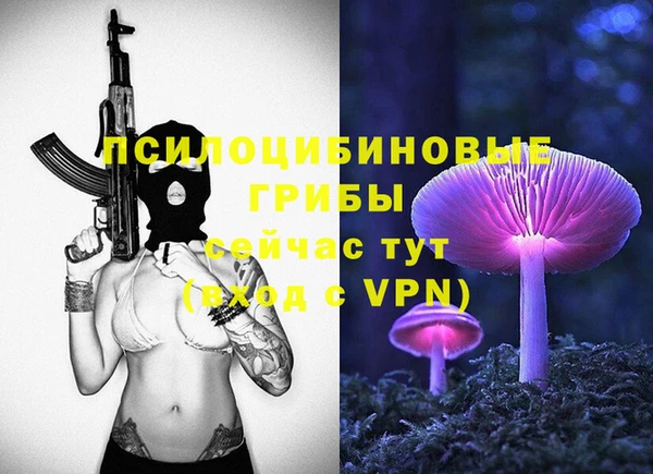 молекула духа Белокуриха