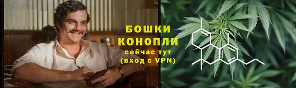 PSILOCYBIN Беломорск
