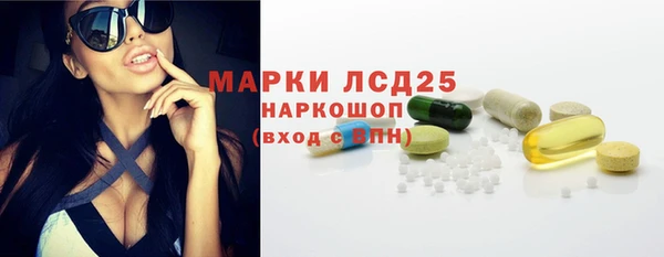 PSILOCYBIN Беломорск