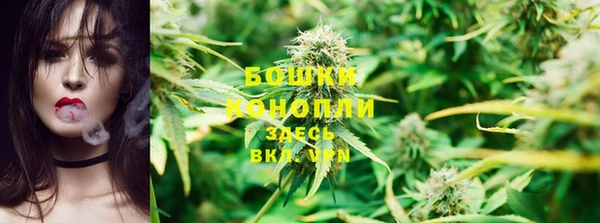 PSILOCYBIN Беломорск