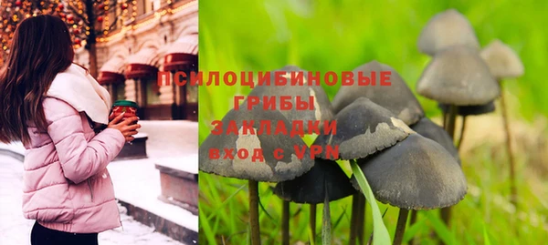 молекула духа Белокуриха