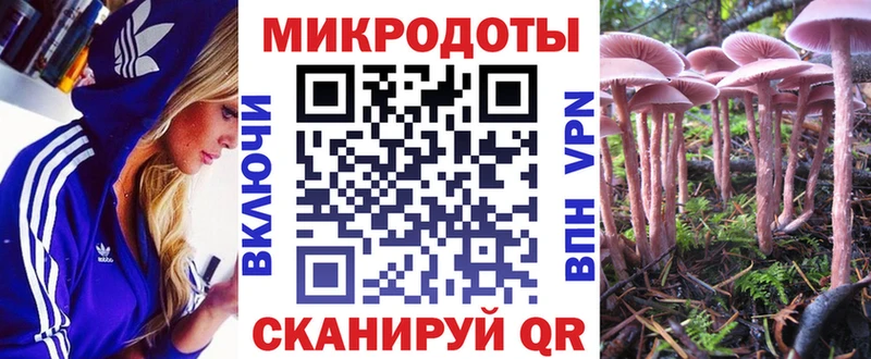 даркнет телеграм  Волжск  Галлюциногенные грибы GOLDEN TEACHER  кракен как зайти 