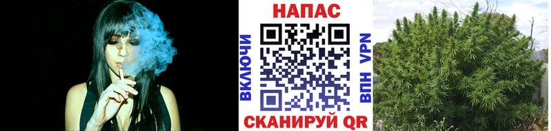 Шишки марихуана Bruce Banner Волжск